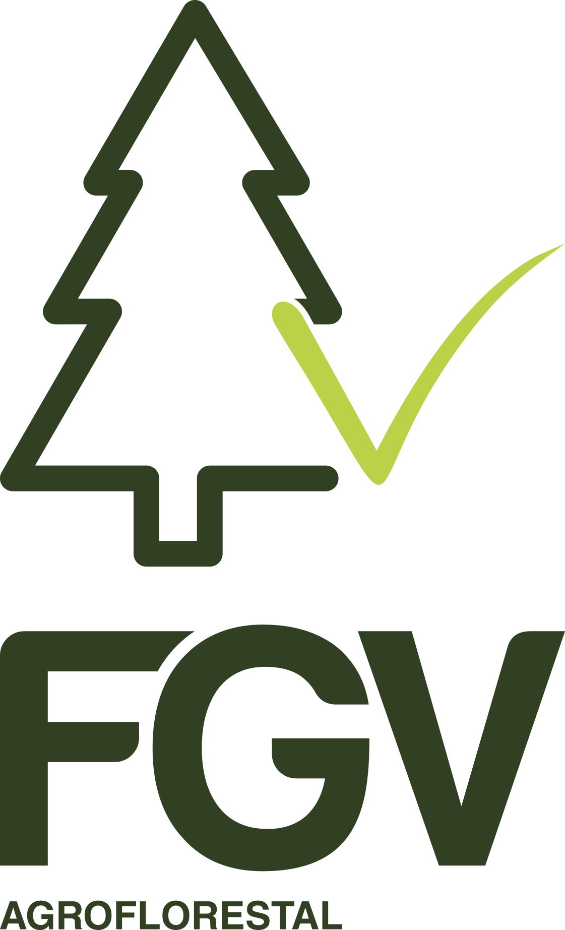 FGV Agroflorestal